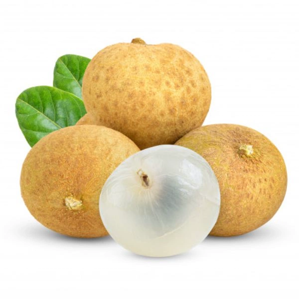 Cây giống Nhãn xuồng