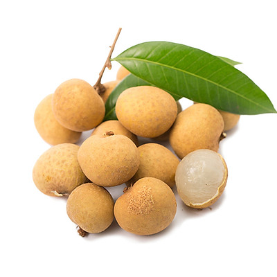 Cây giống Nhãn Ido