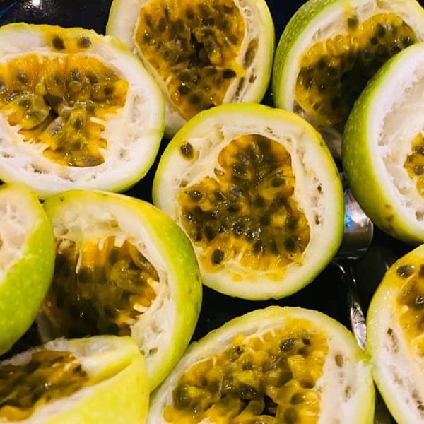 Cây giống Chanh dây ngọt
