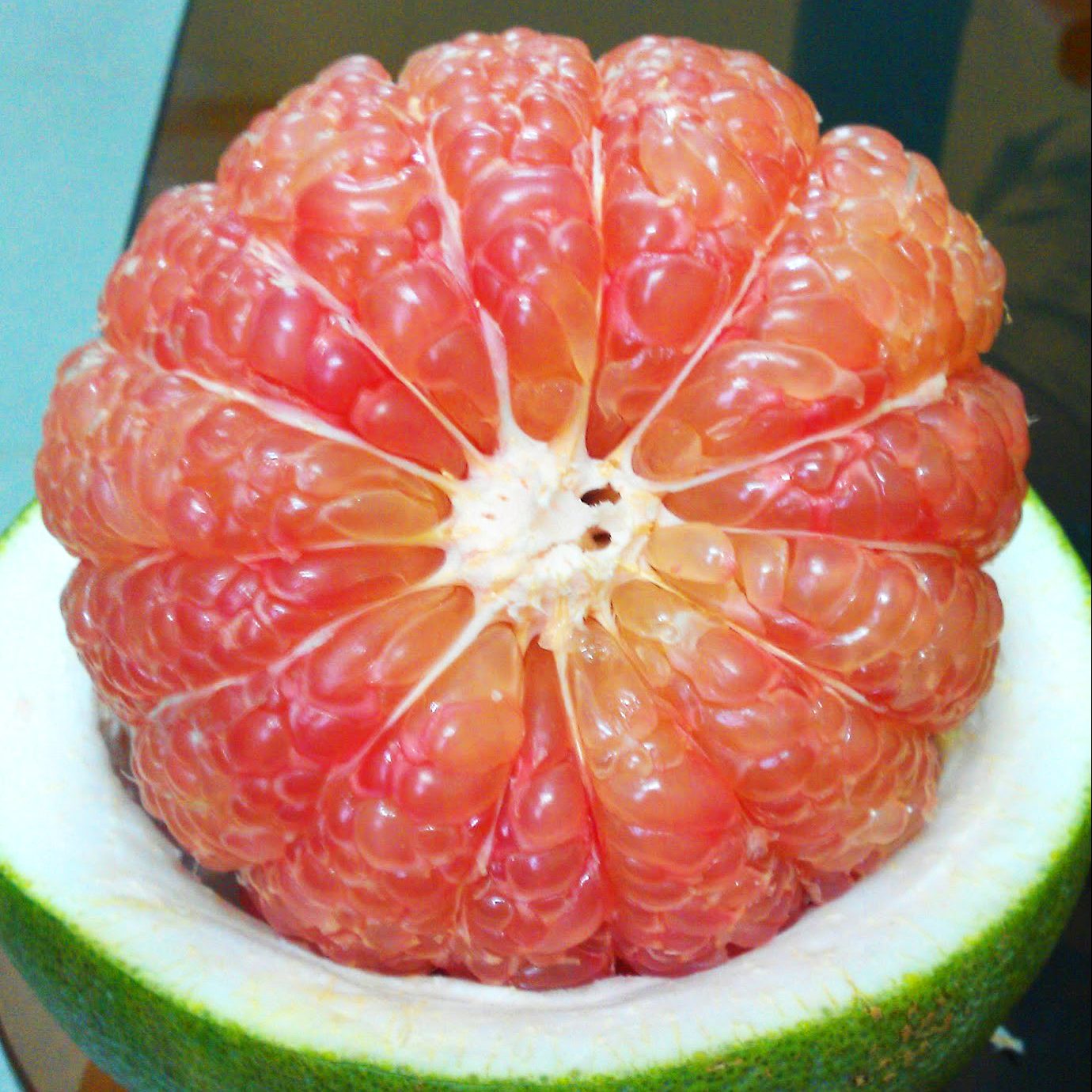 Cây giống Bưởi da xanh chiết