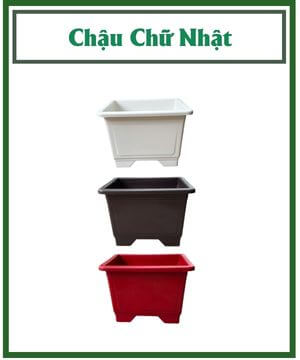 Chậu Chữ Nhật Trồng Cây – Chậu Nhựa Cao Cấp Bền Đẹp