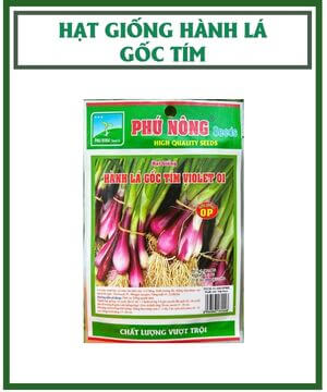 Hạt Giống Hành Lá Gốc Tím Violet 01 Phú Nông – Vườn Sài Gòn