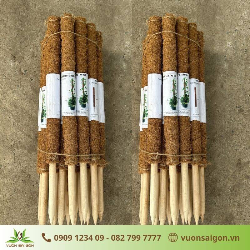 Trụ Dây Leo Xơ Dừa – Trợ Thủ Cho Cây Kiểng Lá Leo Cao, Lá To 2