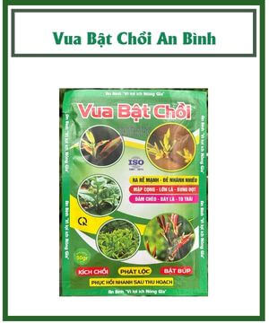 Vua Bật Chồi An Bình – Kích Chồi, Phát Lộc, Bật Búp Cực Mạnh