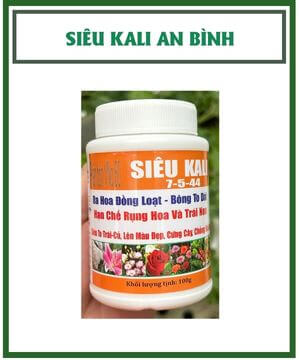 Siêu Kali 7-5-44 An Bình – Ra Hoa Đồng Loạt, Bông To Dài, Đậu Trái Sai
