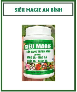 Siêu Magie An Bình – Biến Vàng Thành Xanh, Chống Vàng Lá Cháy Lá