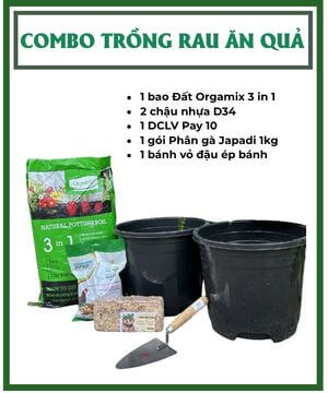 Combo Trồng Rau Ăn Quả