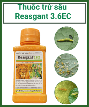 Thuốc trừ sâu Reasgant 3.6EC –Trừ rầy rệp, sâu xanh, sâu ăn lá