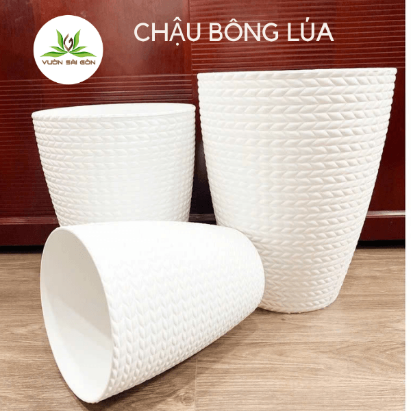 CHẬU NHỰA BÔNG LÚA – Chậu nhựa trồng cây 3