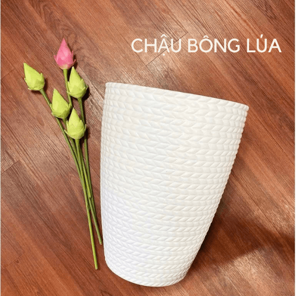 CHẬU NHỰA BÔNG LÚA – Chậu nhựa trồng cây 2