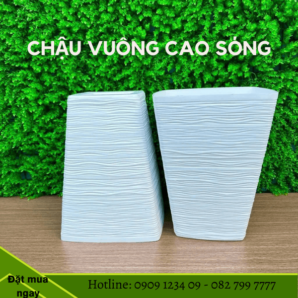 CHẬU VUÔNG CAO SÓNG – Chậu Trồng Cây Đẹp, Hiện Đại 3