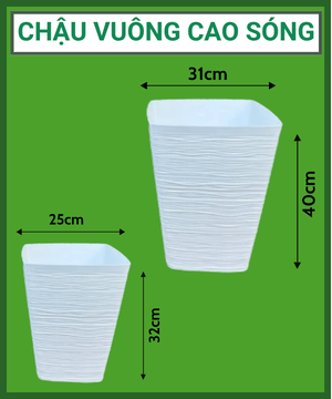 CHẬU VUÔNG CAO SÓNG – Chậu Trồng Cây Đẹp, Hiện Đại