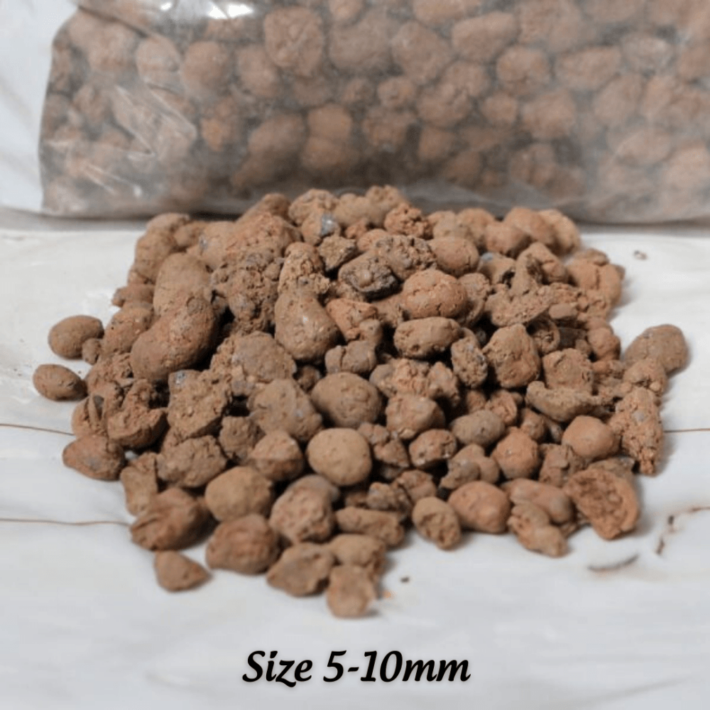 Viên đất nung Sfarm – (sỏi nhẹ, sỏi đất nung) 3