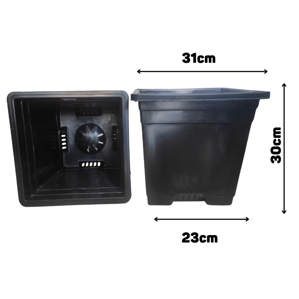 Chậu nhựa cứng vuông đen ( Chậu V31) – Chậu nhựa trồng cây 2