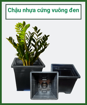 Chậu nhựa cứng vuông đen ( Chậu V31) – Chậu nhựa trồng cây