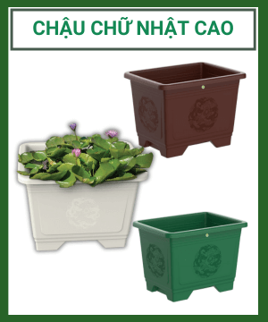 CHẬU CHỮ NHẬT CAO TALOPA – TRỒNG SEN, BONSAI SANG TRỌNG, BỀN ĐẸP