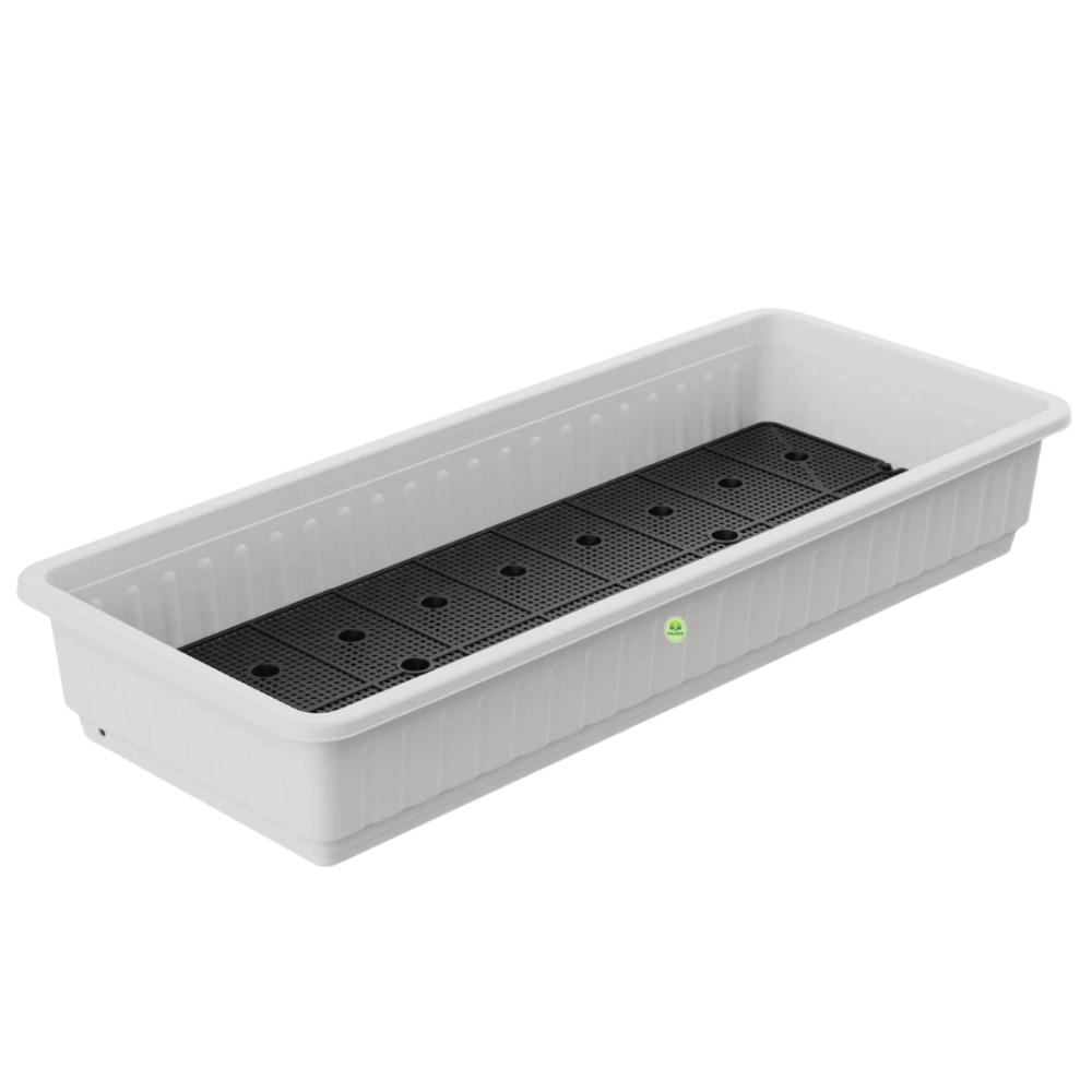 TLP- Khay trồng rau chữ nhật lớn TALOPA 3