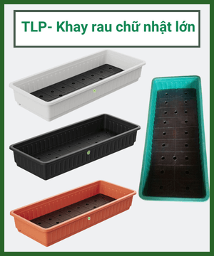 TLP- Khay trồng rau chữ nhật lớn TALOPA