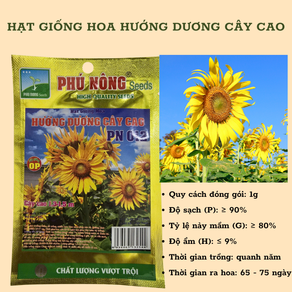 Hạt Giống Hoa Hướng Dương Cây Cao PN-012 3
