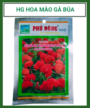 HẠT GIỐNG HOA MÀO GÀ BÚA CÂY LỞ