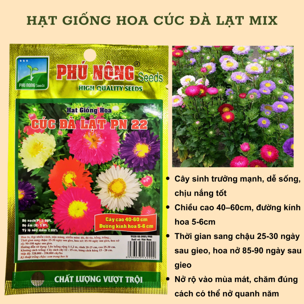 Hạt giống hoa cúc Đà Lạt nhiều màu 3