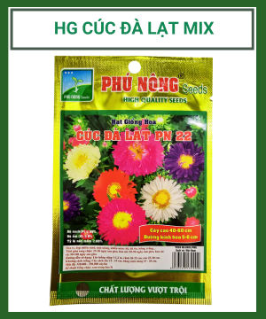 Hạt giống hoa cúc Đà Lạt nhiều màu