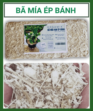 Bã Mía Vụn Ép Bánh Orgamix – Giá Thể Hữu Cơ Từ Bã Mía 100% Tự Nhiên