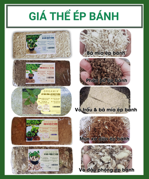 Giá Thể Ép Bánh Orgamix – Ngâm 3 Phút, Sử Dụng Ngay!