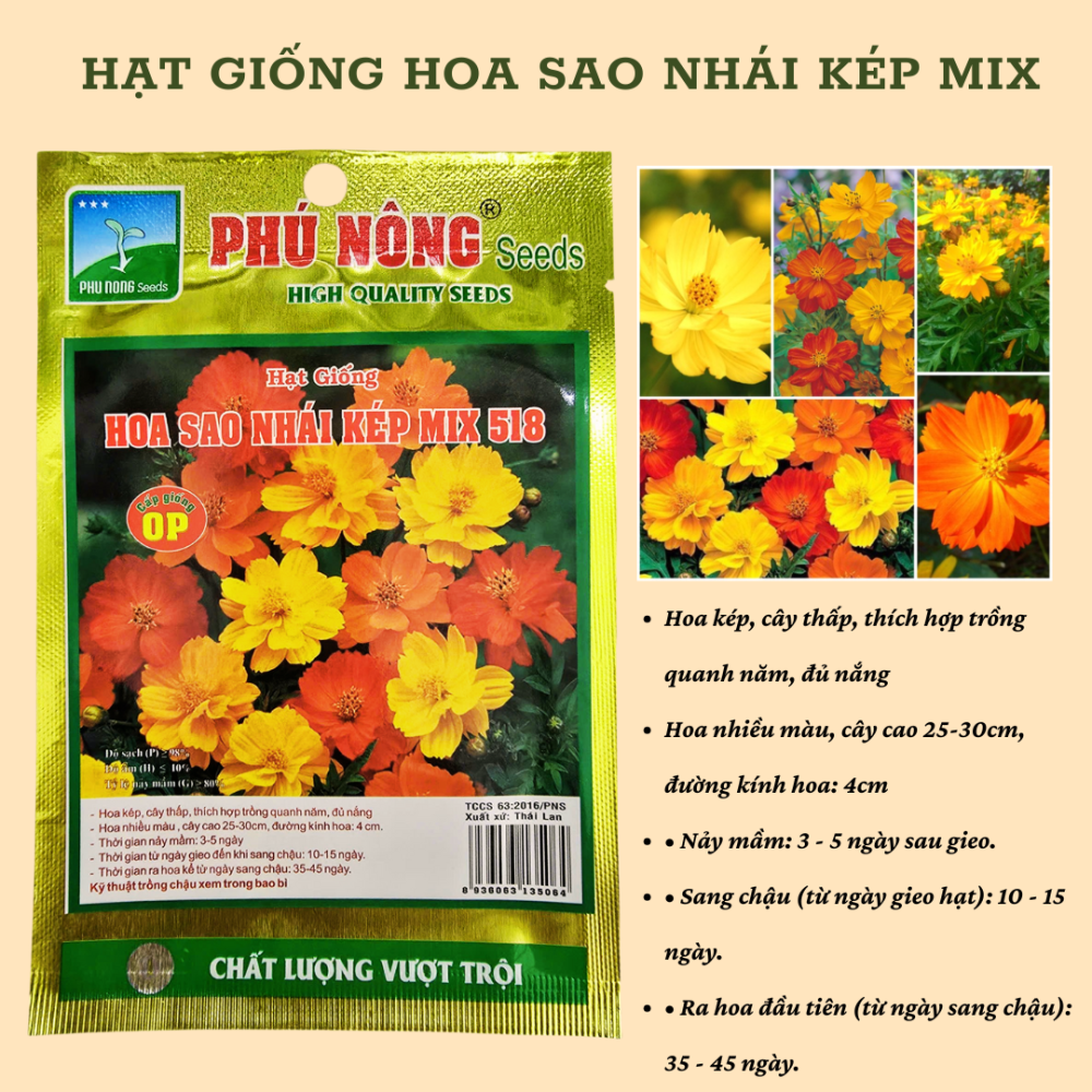 Hạt giống hoa sao nhái kép nhiều màu 518 3