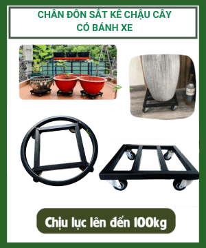Chân đôn sắt kê chậu cây có bánh xe, thuận tiện di chuyển