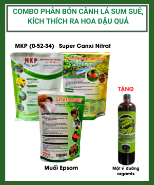 Combo bộ 3 phân bón ( Epsom, Canxi nitrat, MKP) giúp xanh lá, nhiều mầm nụ, hoa đẹp, kích trái xum xuê