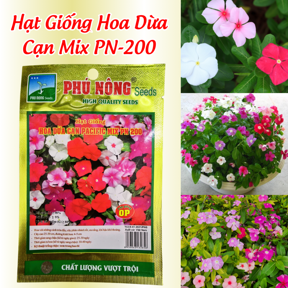 Hạt Giống Hoa Dừa Cạn Mix Phú Nông pn-200 2