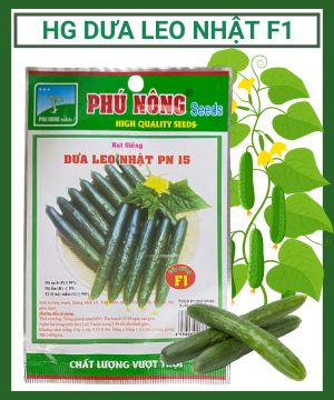 Hạt giống Dưa Leo Nhật F1 PN 15