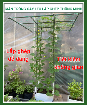 Giàn trồng cây leo lắp ghép thông minh Daim Japan, giàn leo Nhật