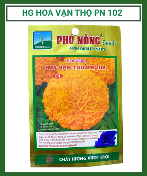 Hạt giống hoa Vạn Thọ F1 PN 102