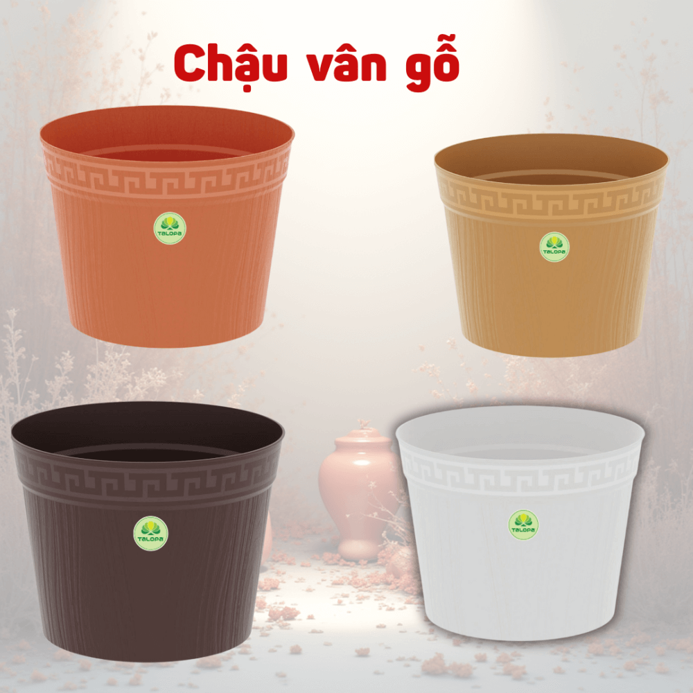 Chậu Vân Gỗ TALOPA – Sang Trọng, Mộc Mạc 2