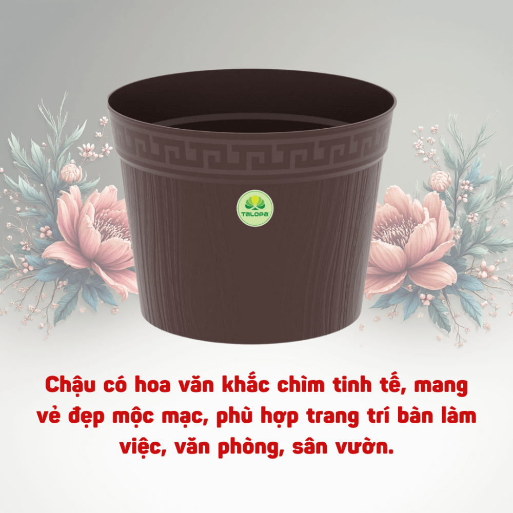 Chậu Vân Gỗ TALOPA – Sang Trọng, Mộc Mạc 3