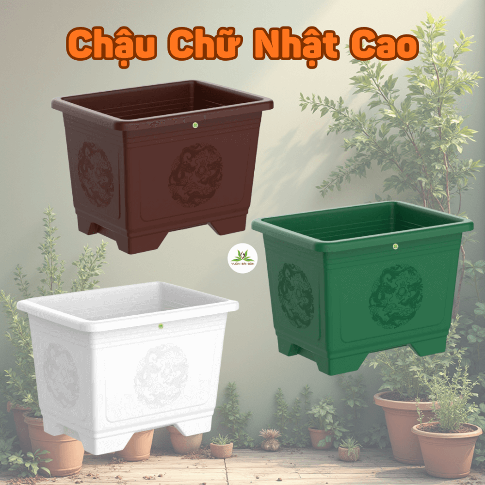 CHẬU CHỮ NHẬT CAO TALOPA – TRỒNG SEN, BONSAI SANG TRỌNG, BỀN ĐẸP 2