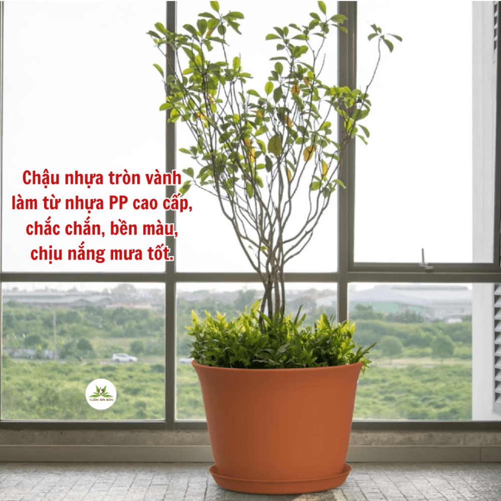 Thân Chậu Tròn Vành – Chậu Nhựa PP Bền Đẹp, Tiện Dụng 3