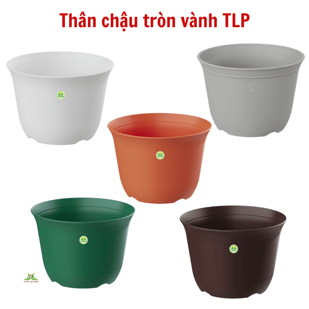 Thân Chậu Tròn Vành – Chậu Nhựa PP Bền Đẹp, Tiện Dụng 2