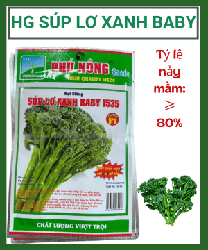 HẠT GIỐNG SÚP LƠ XANH BABY 1535 – NGON GIÒN, DỄ TRỒNG