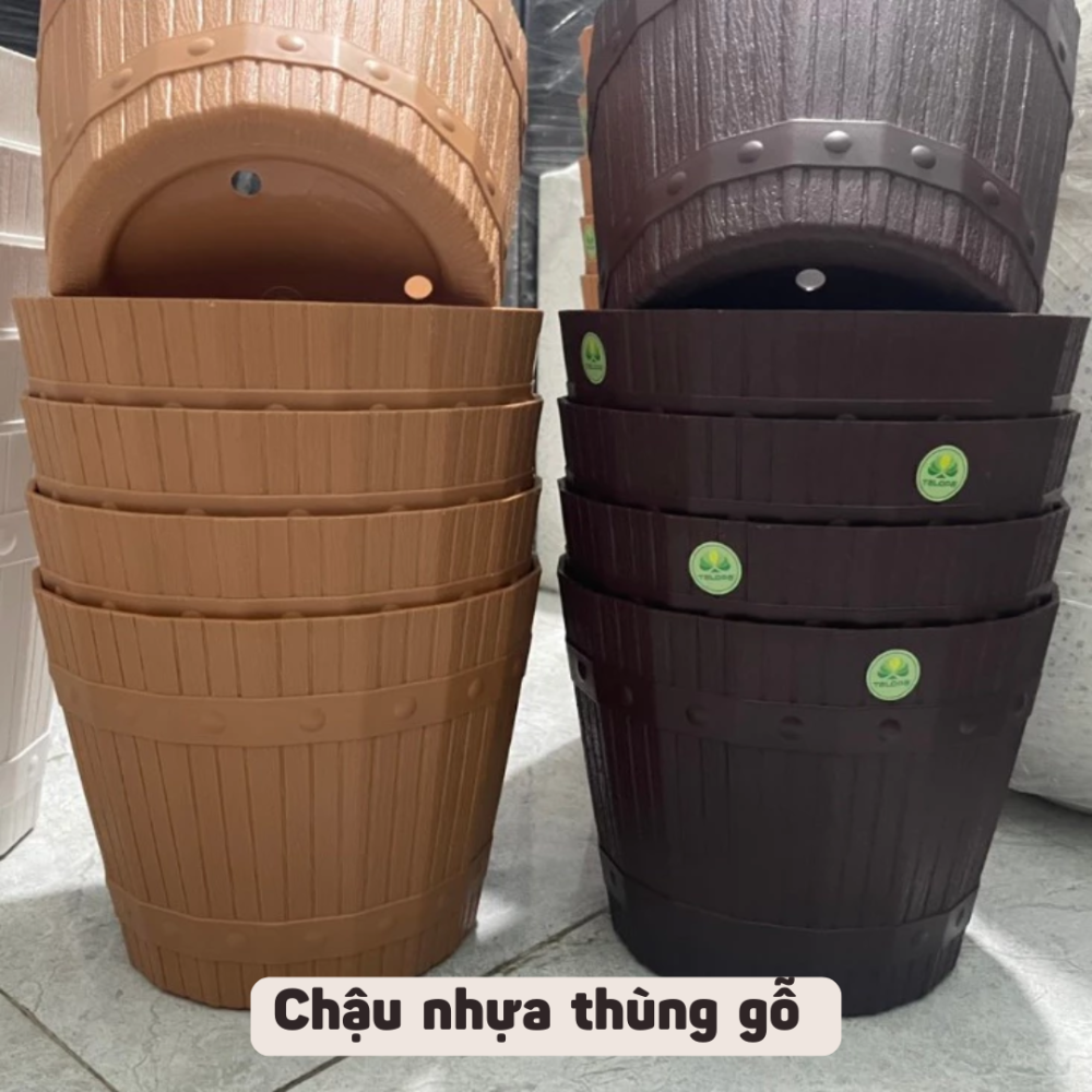 Chậu Nhựa Thùng Gỗ TLP – Sang Trọng, Giản Dị, Gần Gũi Với Thiên Nhiên 3