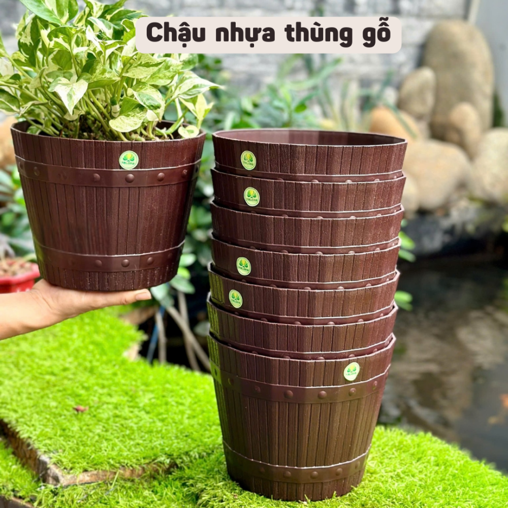 Chậu Nhựa Thùng Gỗ TLP – Sang Trọng, Giản Dị, Gần Gũi Với Thiên Nhiên 2