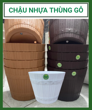 Chậu Nhựa Thùng Gỗ TLP – Sang Trọng, Giản Dị, Gần Gũi Với Thiên Nhiên