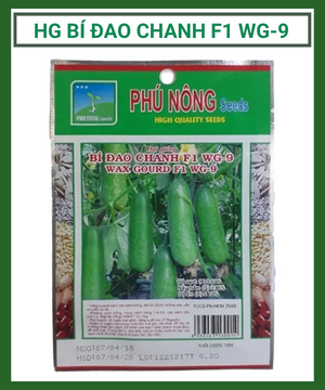 Hạt giống bí đao chanh f1 WG-9