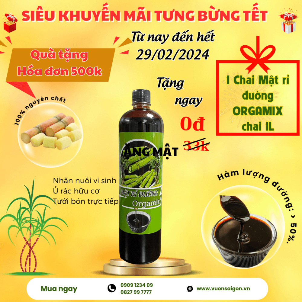 THÁNG TẾT RỘN RÀNG – HÓA ĐƠN 500K TẶNG NGAY CHAI MẬT RỈ ĐƯỜNG ORGAMIX 1L