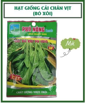 HẠT GIỐNG CẢI CHÂN VỊT (BÓ XÔI) – chịu nhiệt Phú Nông