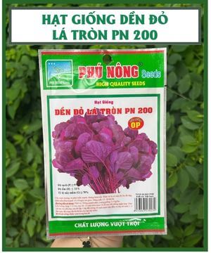 Hạt giống dền đỏ cao sản Phú Nông