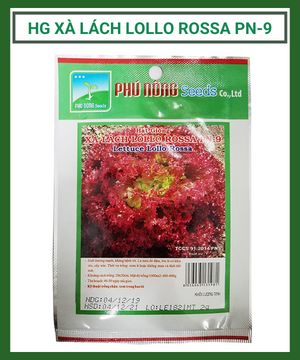 Hạt giống xà lách Lollo Rossa Phú Nông PN-9