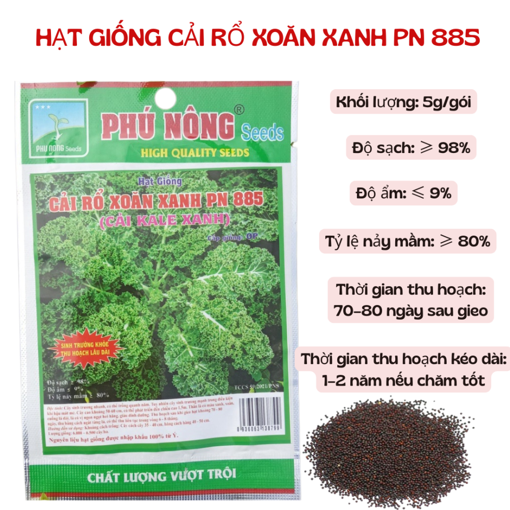 Hạt giống cải rổ xoăn xanh PN885 (kale) – Dễ trồng, ăn ngon, giàu dinh dưỡng 3